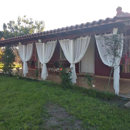 Olive Garden Guest House Kyparissia Dış mekan fotoğraf