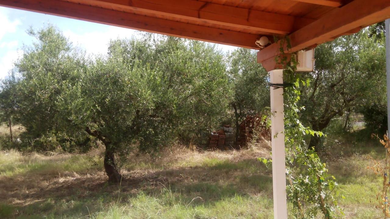 Olive Garden Guest House Kyparissia Dış mekan fotoğraf