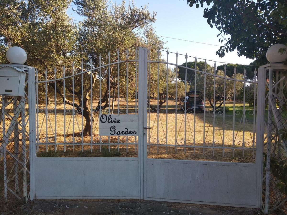 Olive Garden Guest House Kyparissia Dış mekan fotoğraf