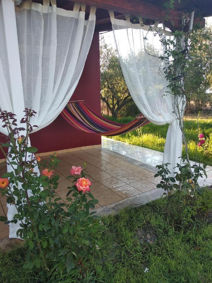 Olive Garden Guest House Kyparissia Dış mekan fotoğraf